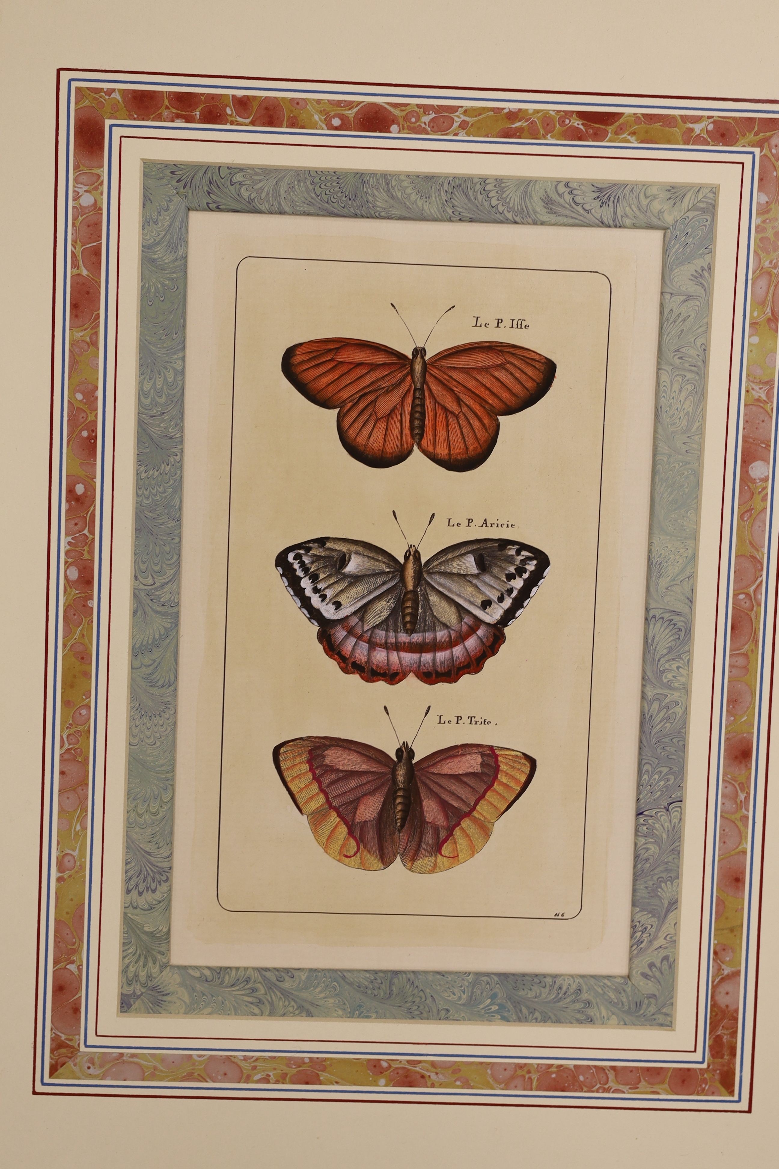 19th century French School, a set of ten hand coloured engravings, Studies of butterflies, 24 x 15cm, unframed